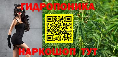 дурь Пугачёв