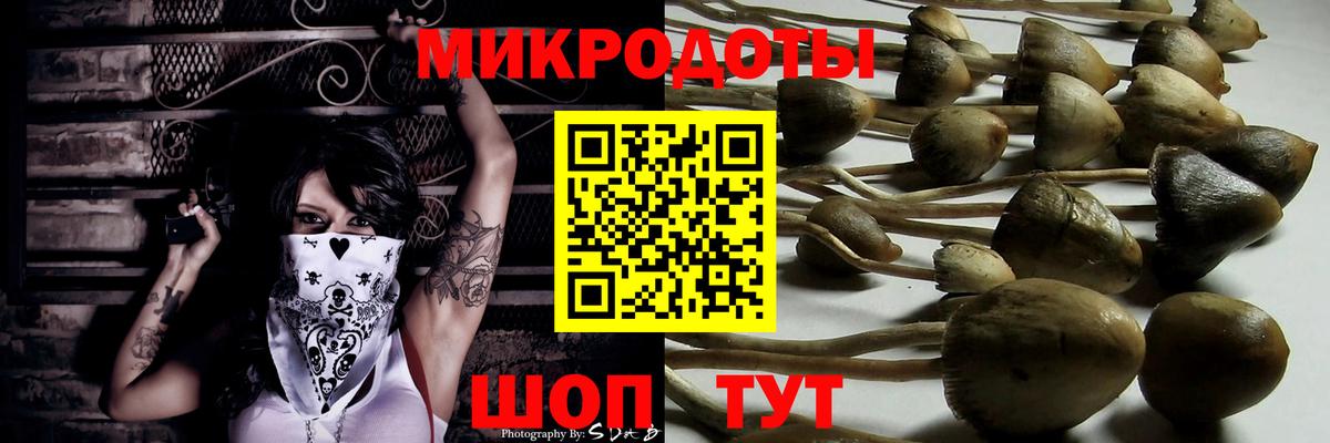 Галлюциногенные грибы MAGIC MUSHROOMS  где купить наркоту  Ростов-на-Дону  Псилоцибиновые грибы Magic Shrooms  Вход с VPN 